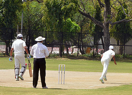 Cricket Blog